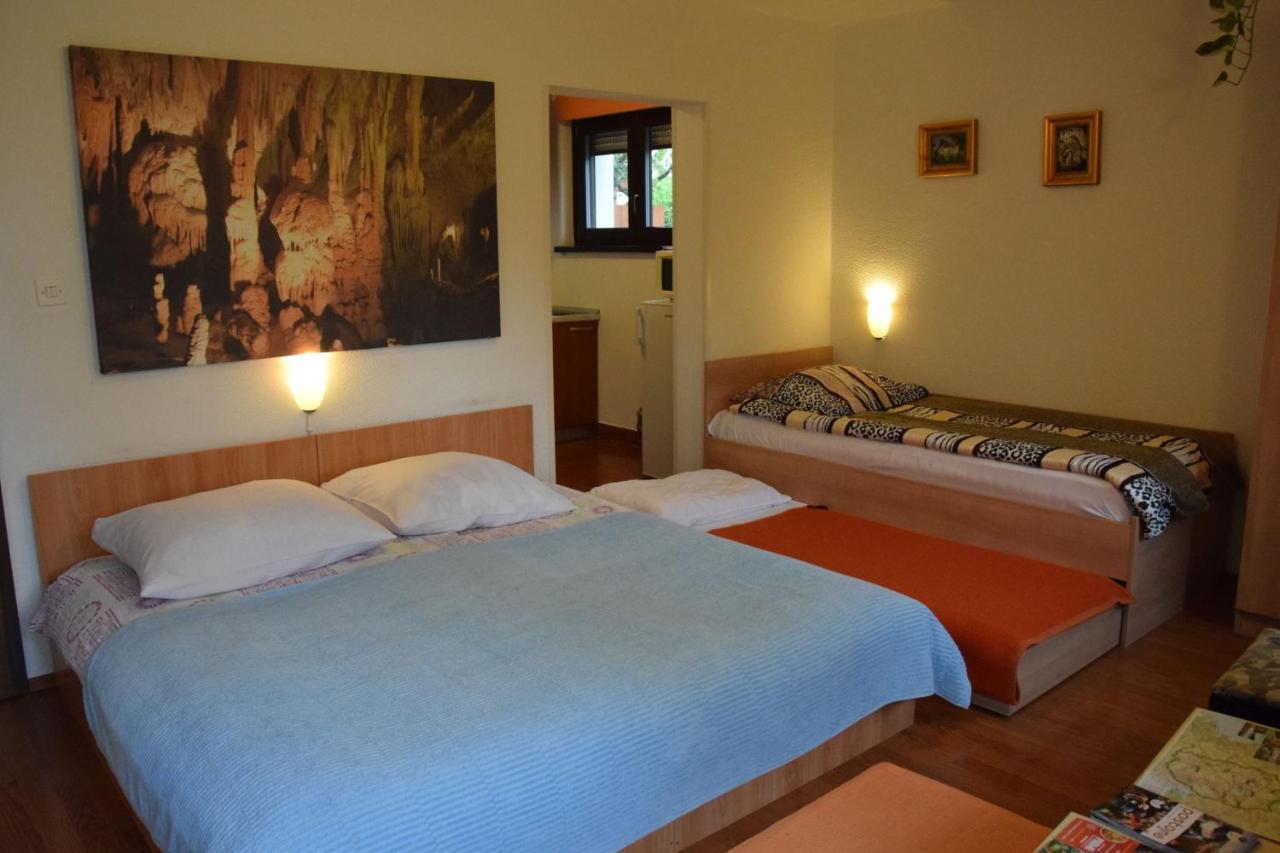 Rooms Ribnikar Postojna Exteriér fotografie